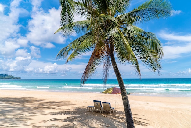 Strand met kokospalmen en blauwe hemelachtergrond
