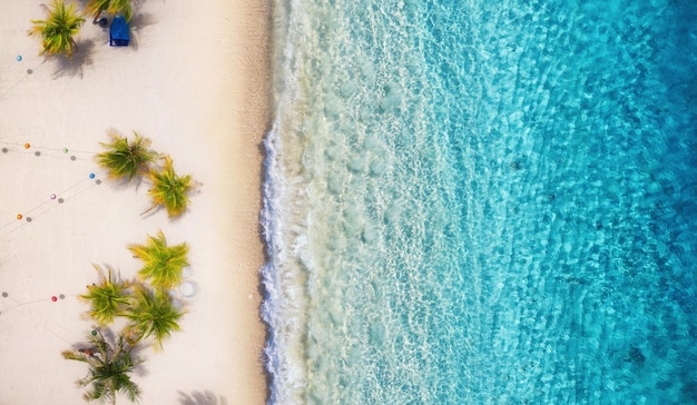 Strand met palmbomen en de oceaan als achtergrond van bovenaanzicht Azuurblauwe waterachtergrond van bovenaanzicht Zomerzeegezicht vanuit de lucht Reisafbeelding