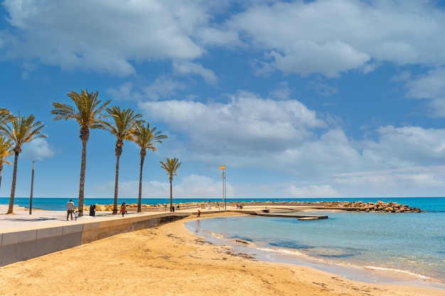 Strand met palmbomen in de kustplaats torrevieja, alicante, valenciaanse gemeenschap