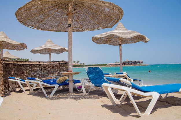 Strand met parasols en ligstoelen aan zee