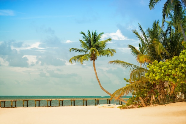 Strand met pier en palmbomen aan de Atlantische kust.