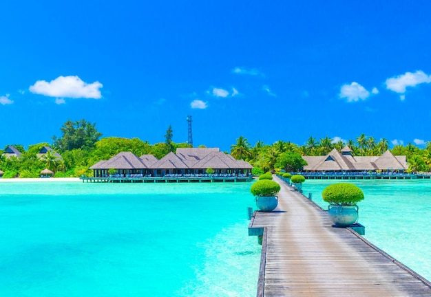 Strand met waterbungalowwen in de Maldiven