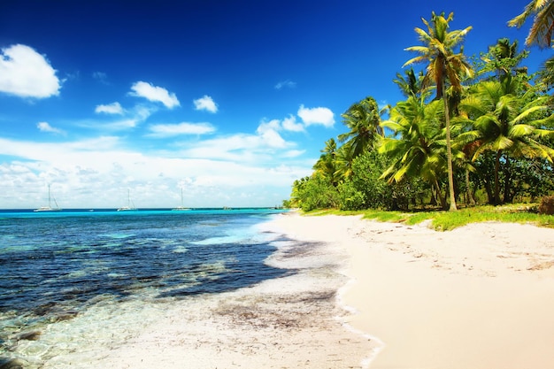 Strand met witte zandzon en stille oceaan Tropische banner