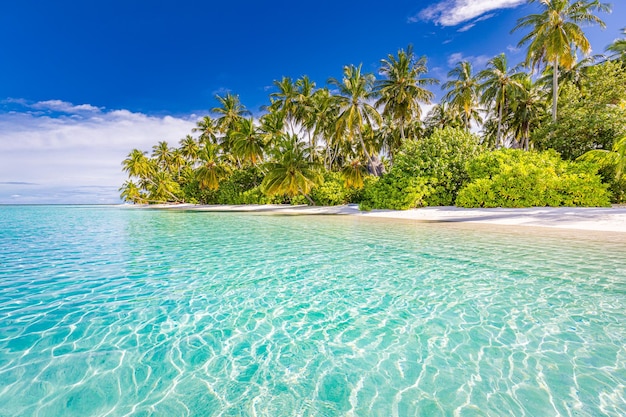 Strand natuur concept Palm strand tropische idyllische zee hemel paradijs eiland Exotisch dromerig landschap