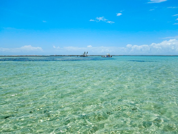 Strand natuurlijke zwembaden in maragogi alagoas brazilië