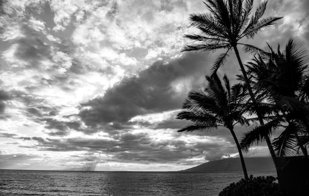 Strand op het eiland maui aloha hawaii