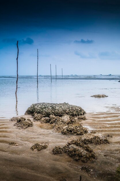 Foto strand tegen de lucht.