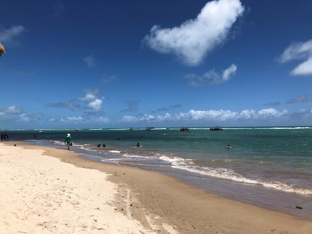 Foto strand transparante zee in alagoas brazilië