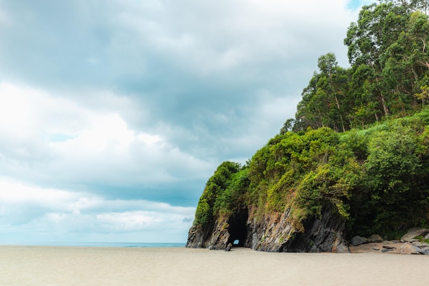 Foto strand van asturië met een klif en bos