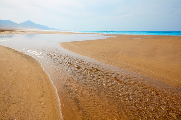 Strand van cofete fuerteventura bij de canarische eilanden