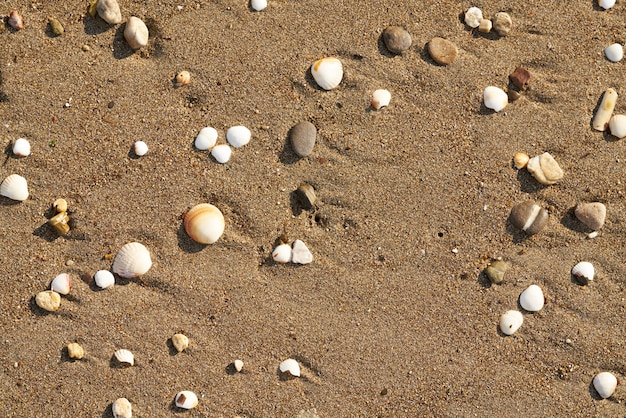 Strand zand textuur en achtergrond