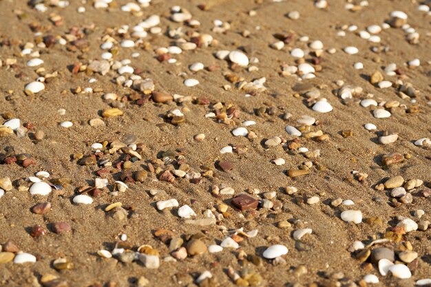 Strand zand textuur en achtergrond