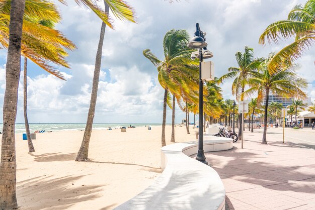 Strandboulevard met palmbomen op een zonnige dag in Fort Lauderdale