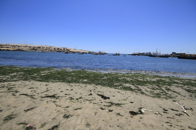 Stranden en haven bij Bahia Inglesia Caldera Chili