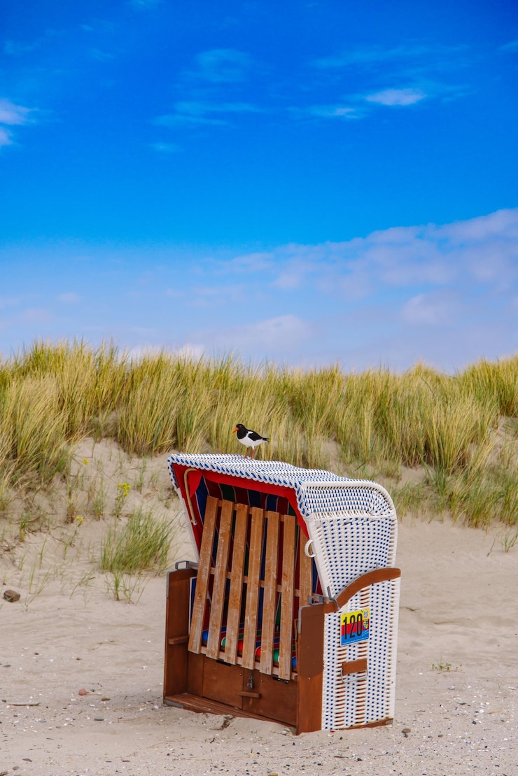 Foto strandkorb vor blauem himmel
