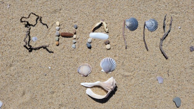Foto strandkunst met schelpen