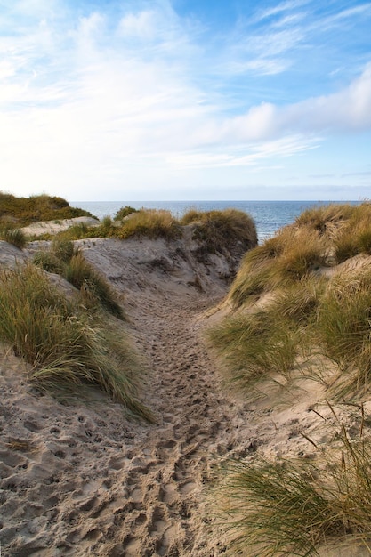 Strandovergang in Denemarken aan zee Duinen, zand, water en wolken aan de kust