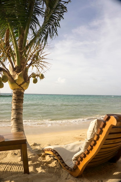 Strandstoel en palmbomen