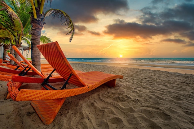 Strandstoelen en kokospalm op het tropische strand bij zonsondergang