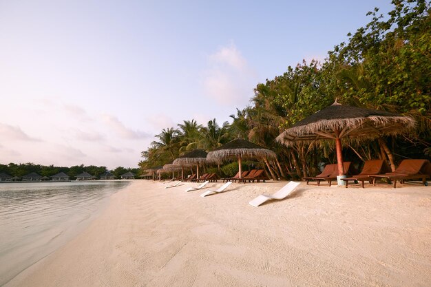 Strandstoelen onder stroparasols De kustlijn van de Indische Oceaan op het eiland Maldiven Wit zandstrand en kalme zee Reis- en vakantieconcept