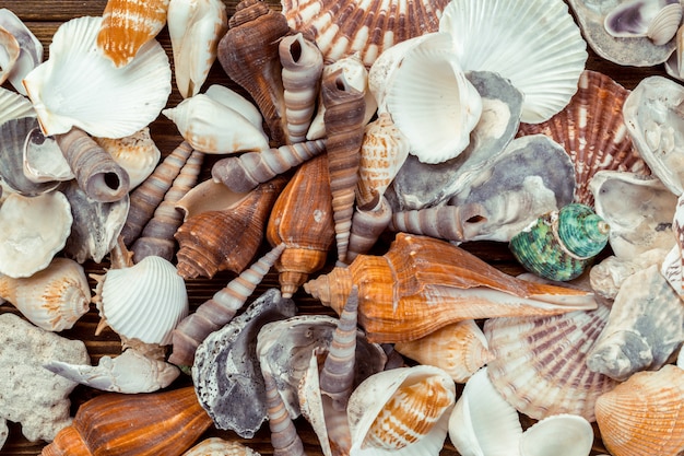 Strandtoebehoren op houten raad