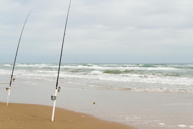 Strandvissen op South Padre Island.