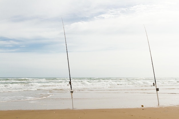 Strandvissen op South Padre Island.