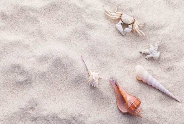 Strandzand voor de zomer en strandconcept.