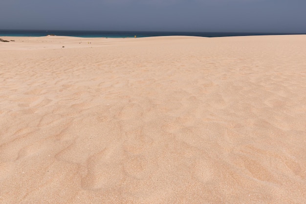 Strandzandduinen in de buurt van de achtergronden en texturen van zeezand