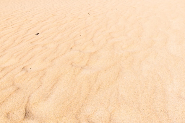 Strandzandduinen in de buurt van de achtergronden en texturen van zeezand