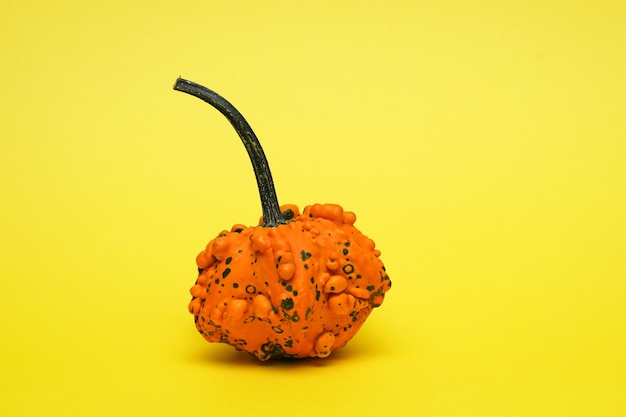 Strange decorative pumpkin on yellow background Ugly vegetables are edible Reduce organic waste