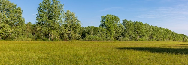 Photo a strange panoramic photo with a long woodland alleyroofs and corners.rtf