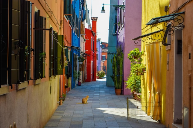 Straten van Burano met een kat, Venetië, Italië