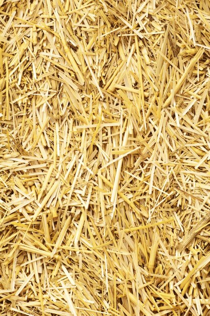 Straw background full frame