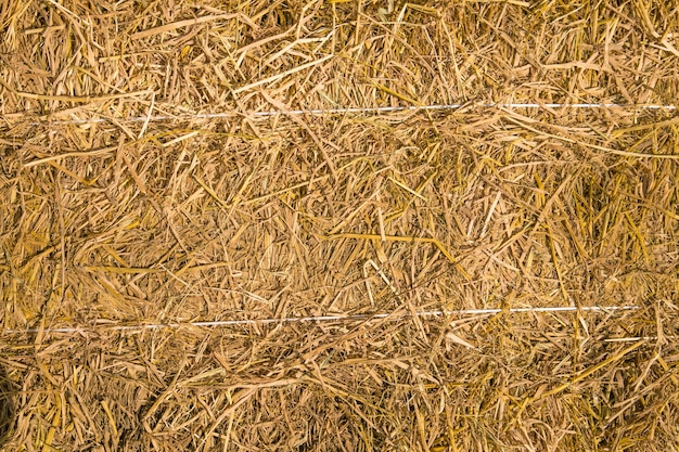 Photo straw background texture, dry straw for design background