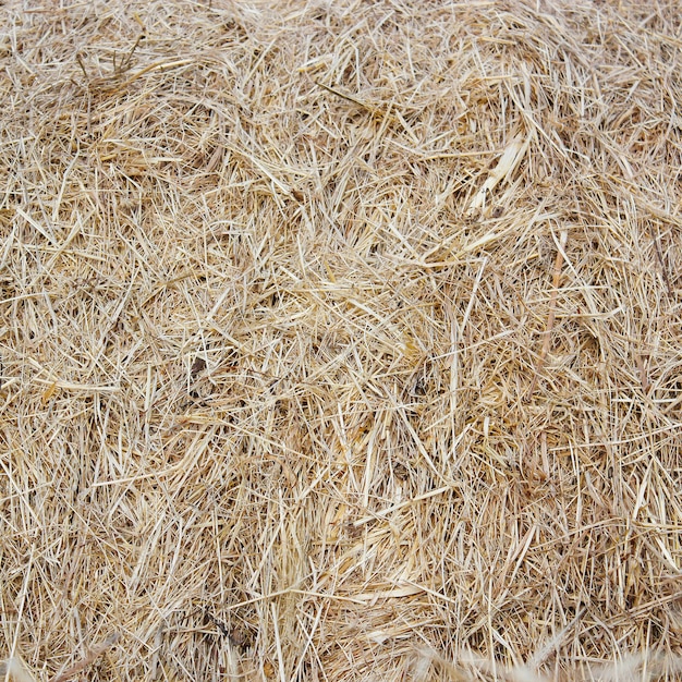 Straw bale texture