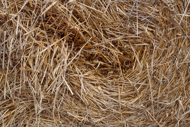 Straw bale textured background with natural light