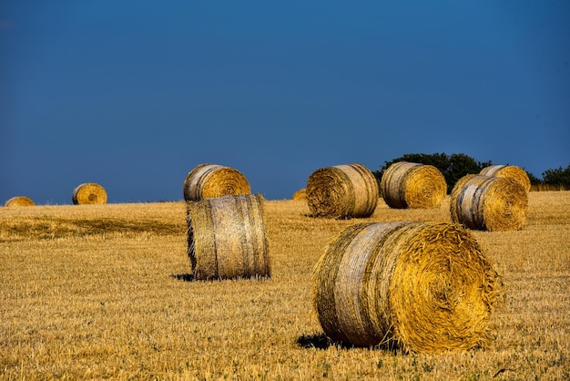 Photo straw bales on farmland with blue sky