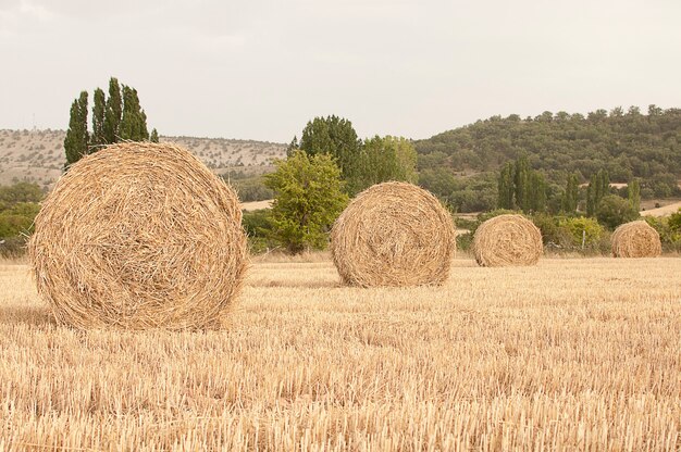 Straw bales in a field in Castile Spain