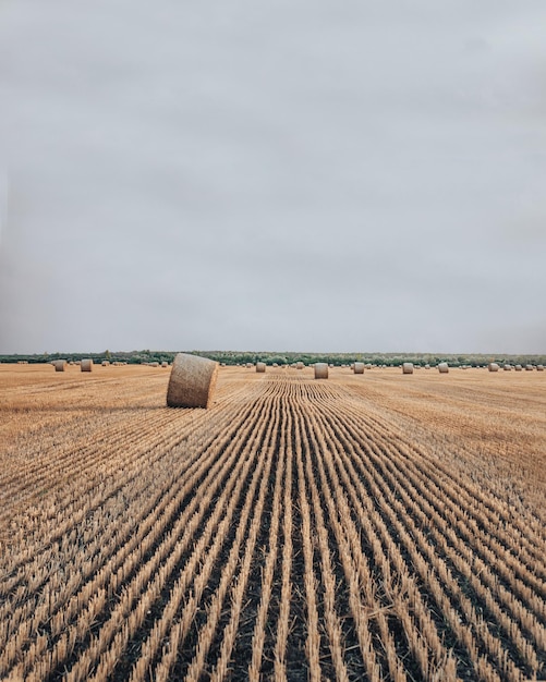 Straw bales outdoors on a warm cloudy summer evening