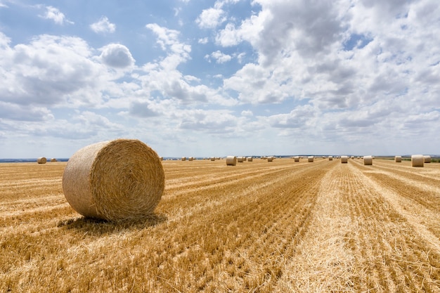 Straw bales stacked in a field at summer time