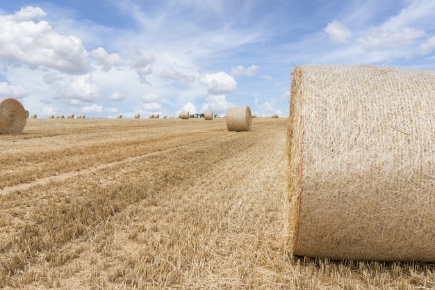 Straw bales stacked in a field at summertime