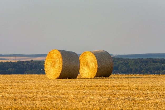 Straw bales stacked in a field at sunset time