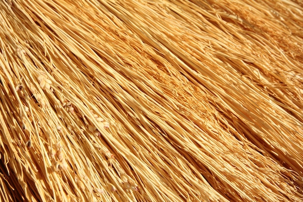 Straw broom texture