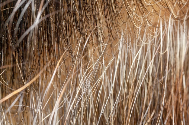 Straw Closeup