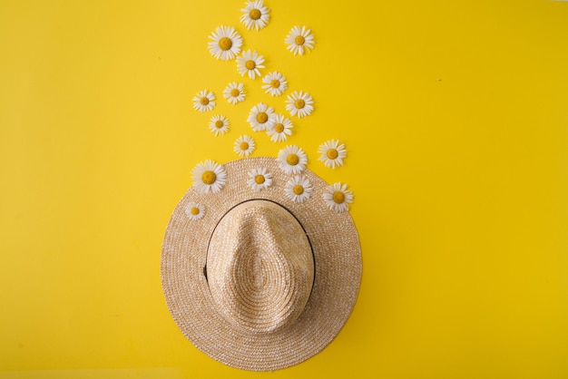 Photo straw hat and daisies around