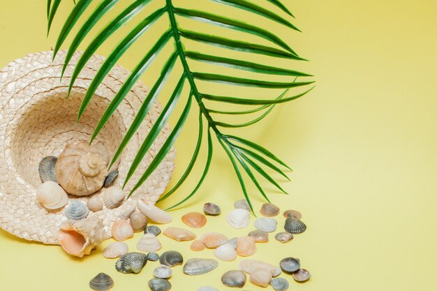 Straw hat, sea shells and a tropical green leaf on light yellow background