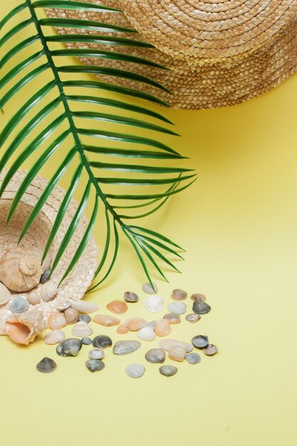 Straw hats, sea shells and a tropical green leaf on light yellow background