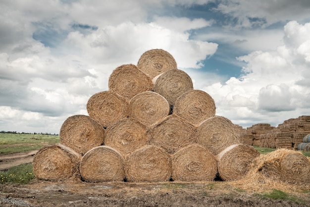 Straw Hay bales at the farm