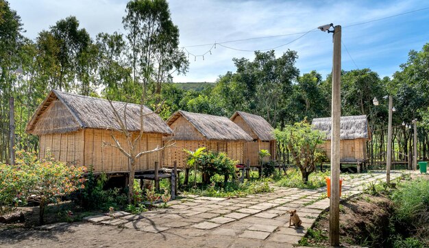 Photo straw houses in forest in countryside photo